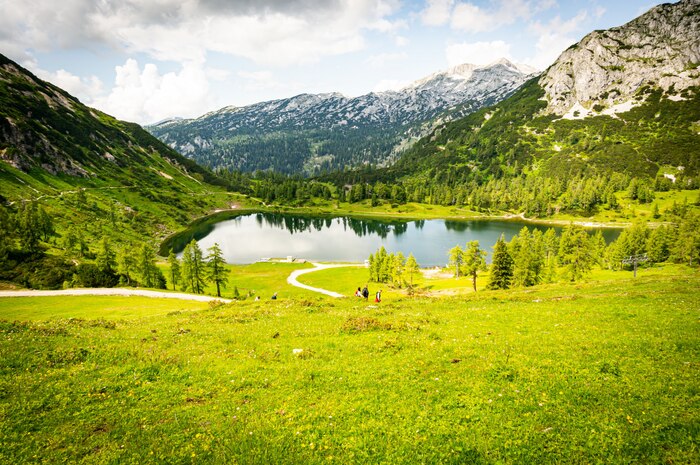 Beautiful scenery of a green valley near the alp mountains in austria under the cloudy sky