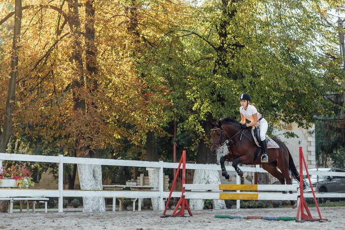 Young woman horse rider sportswoman on equestrian sport competition leaping over hurdle